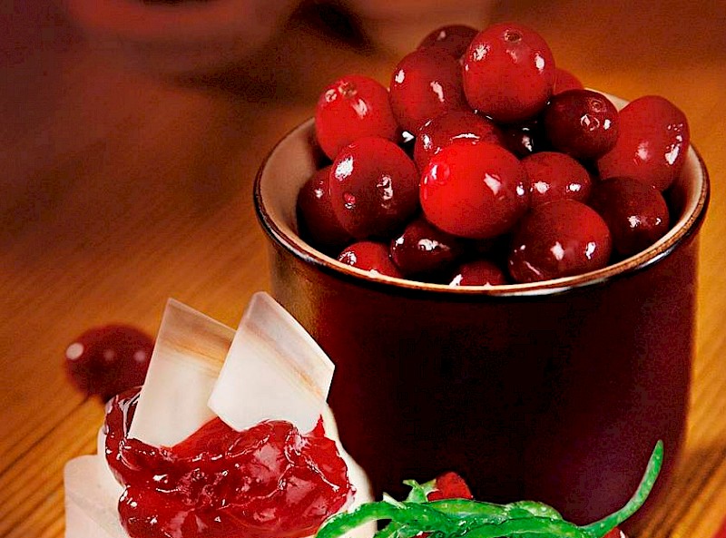 Cranberry Pie Fill - GLAZIR | Production of fruit fillings for the bakery industry | Croatia
