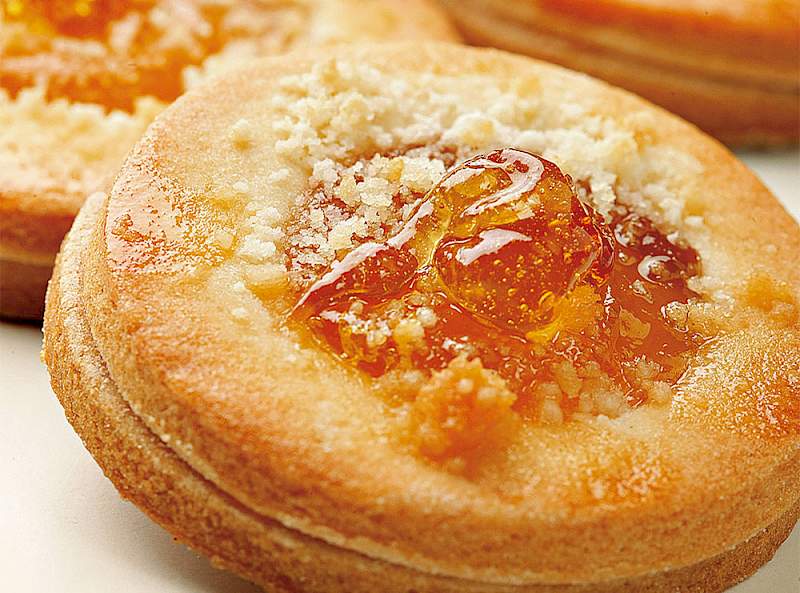 Apricot Cookies - GLAZIR | Production of fruit fillings for the bakery industry | Croatia